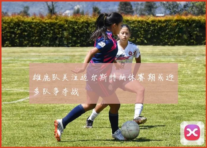 雄鹿队关注迈尔斯特纳休赛期或迎多队争夺战