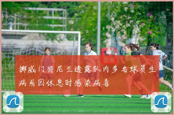 挪威门将尼兰透露队内多名球员生病或因休息时感染病毒