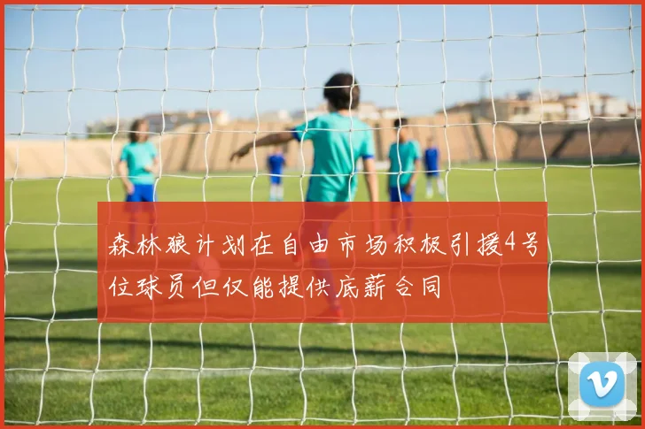 森林狼计划在自由市场积极引援4号位球员但仅能提供底薪合同